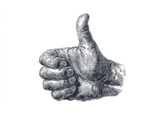 Detailed vintage-style illustration of a hand giving a thumbs-up gesture, highlighting intricate linework and shading.