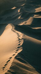 Sunlit desert sand dunes, with a curving line of footprints traversing the slopes in contrasting light and shadow, showcasing texture and depth