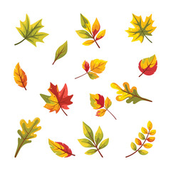Obraz premium Autumn leaves set isolated background, vector realistic, autumn illustration, hello autumn vector 