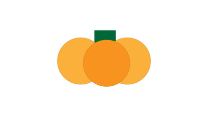 pumpkins colored simple illustration VECTOR