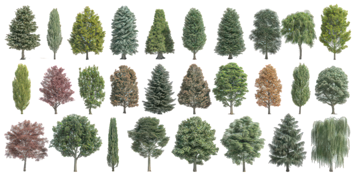 Collection of Realistic 3D Rendered Trees on Transparent Background