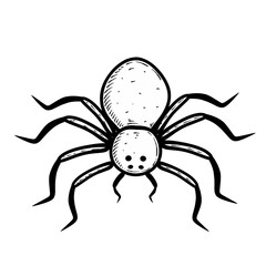 spider on a white background