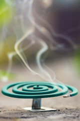 Smoldering mosquito repellent coil in summer garden, insect protection