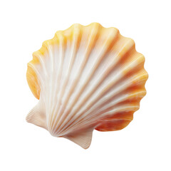 Vibrant seashell with orange and white hues symbolizes seasonal change in nature artistry
