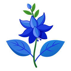 salvia blue victoria flower vector on-white