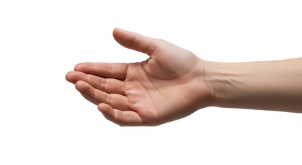A close-up view of an empty human hand with an open palm facing up in a gesture of giving or receiving, isolated on a white background