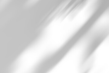 shadow overlay effects of realistic abstract natural tree leaves shadow on wall background,Summer sunlight and shadow overlay effect,shadow for photo interior backdrop studio mockup