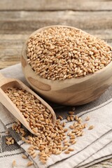 Wheat grains in bowl and scoop on wooden table, closeup