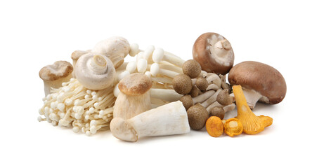 Pile of different raw mushrooms isolated on white
