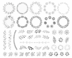 Collection of hand drawn botanical elements and wreaths