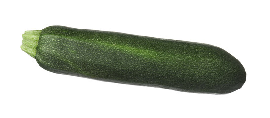 One fresh ripe zucchini isolated on white