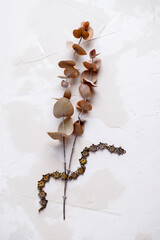 Silver Bracelet with Israeli symbols in the form of Magen David and a branch of dried eucalyptus on a light concrete background