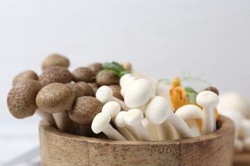 Different raw mushrooms in bowl on blurred light background, closeup