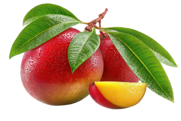 Two Ripe Red And Yellow Mangos With Green Leaves On Transparent Background