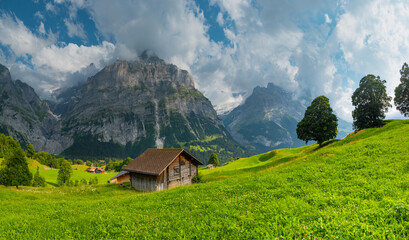 Majestic mountains rise in the background as quaint wooden cabins dot green landscape. A winding path guides a visitor through this serene Swiss alps. Grindelwald Jungfrau Bernese alps Switzerland.