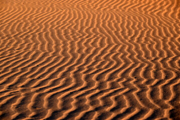 Patterns of Windswept Ripples in the Golden Sand Dunes of the Kalahari Desert