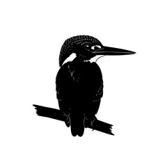 Kingfisher bird silhouette perched on a branch isolated on white background