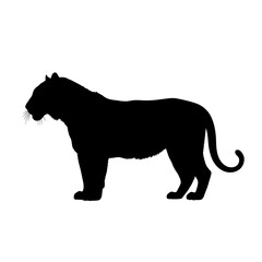 Black panther silhouette standing profile isolated on white background