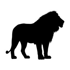Majestic lion silhouette standing profile isolated on white background