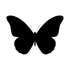 Black butterfly silhouette isolated on white background