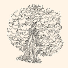 Original vector tree hand-drawn line art, ink style, concept design. isolated silhouette on white background. black outline sketch illustration. Cower drawing. Black-white icon.