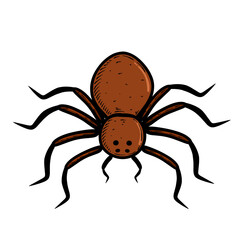 vector illustration of a spider