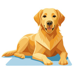 vector illustration of labrador retriever, lying down, flat design