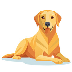vector illustration of labrador retriever, lying down, flat design