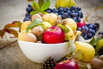 Still life with fruits, autumn harvest, autumn fruits, seasonal organic fruits
