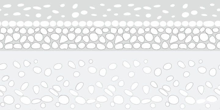 Cross section of skin layers showing epidermis dermis and subcutaneous tissue with cells and structures