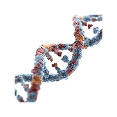 Microscopic 3D Render of DNA Double Helix with Color-Coded Nucleotide Bases