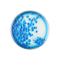 Microscopic Blue Bacterial Culture in Petri Dish