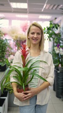 Woman florist holding a guzmania lingulata plant in a flower shop
