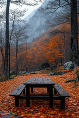 Picnic table in forest clearing surrounded by trees.
