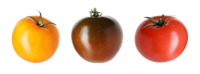 Different types of ripe tomatoes isolated on white, set