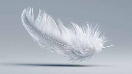 White feather floating symbolizing freedom and creativity