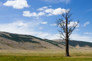 Landscape from Altai Tavan Bogd National Park, Mongolia