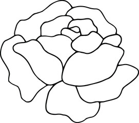 Flower Icon Collection – Colorful and Hand-Drawn Floral Illustrations