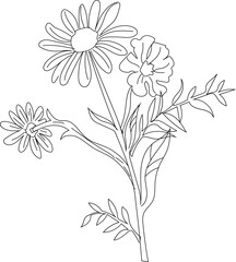 Flower Icon Collection – Colorful and Hand-Drawn Floral Illustrations