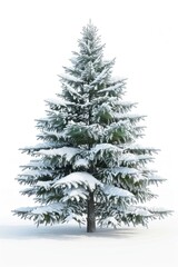 Obraz premium Christmas tree with snow christmas pine art.