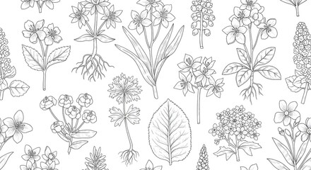 Seamless pattern of various botanical drawings of flowers and plants in black and white outline style