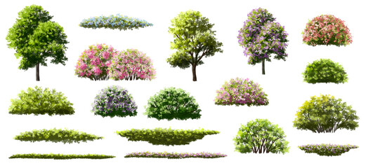 Vertor set of spring blossom tree,blooming plants side view for landscape elevation and section,eco environment concept design,watercolor meadows illustration,colorful season