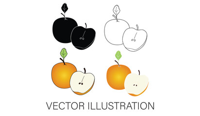 A Collection of Nashi Pears - Isolated Vector Illustrations for Graphic Design