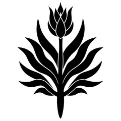 Minimalist black silhouette Kangaroo Paw flower vector illustration for modern commercial design,
Kangaroo Paw flower silhouette vector,
Minimal Kangaroo Paw floral icon,
Clean black Kangaroo Paw illu