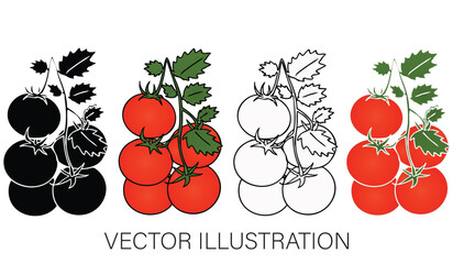 A Collection of Tomatoes - Half-Cut and Whole Pieces, Isolated Vector Illustrations