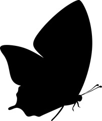 butterfly silhouette vector