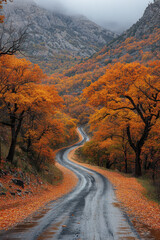 Naklejka premium Mountain road lined with vibrant fall foliage.