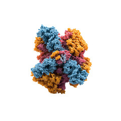 3D Render of a Multicolored Protein Structure