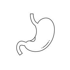 Fototapeta premium Line Art Illustration Of Human Stomach Anatomy