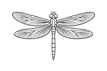 Detailed black and white dragonfly illustration
